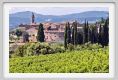 tenuta_di_arceno903