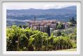 tenuta_di_arceno906