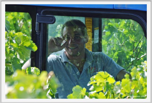 tenuta_di_arceno1150