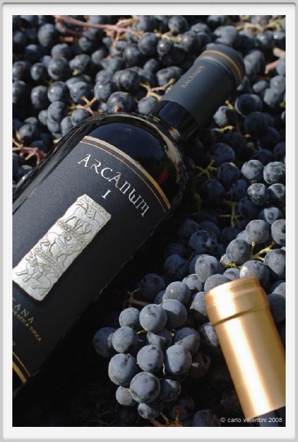 tenuta_di_arceno1117