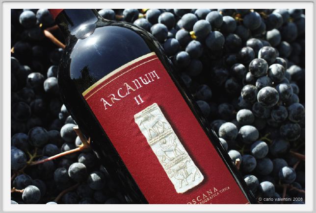 tenuta_di_arceno1118
