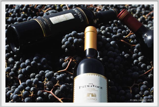 tenuta_di_arceno1121