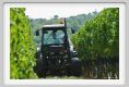 tenuta_di_arceno1137