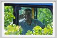 tenuta_di_arceno1150