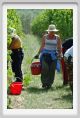 tenuta_di_arceno1151