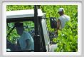 tenuta_di_arceno1156