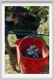tenuta_di_arceno1164