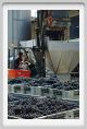tenuta_di_arceno1110