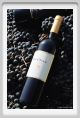tenuta_di_arceno1116