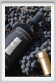 tenuta_di_arceno1117