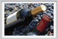 tenuta_di_arceno1119