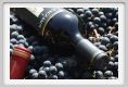 tenuta_di_arceno1120