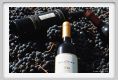 tenuta_di_arceno1121
