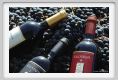 tenuta_di_arceno1122