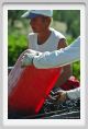 tenuta_di_arceno983