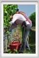 tenuta_di_arceno990