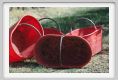 tenuta_di_arceno1002
