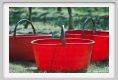tenuta_di_arceno1003