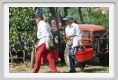 tenuta_di_arceno1008