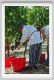 tenuta_di_arceno1012