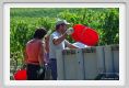 tenuta_di_arceno1015