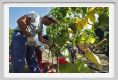 tenuta_di_arceno1038
