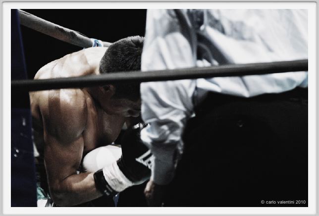boxe913