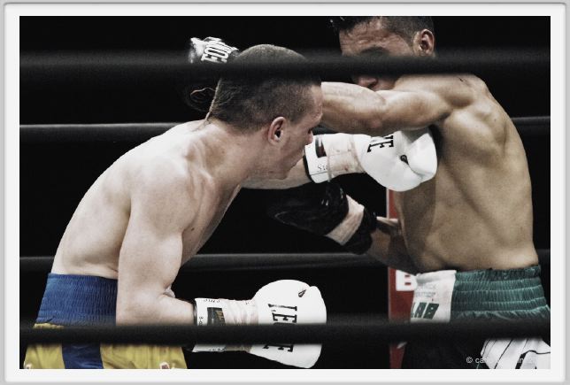 boxe929