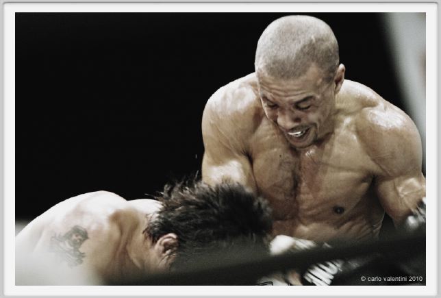 boxe982