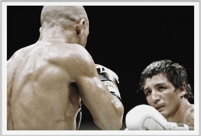 boxe994