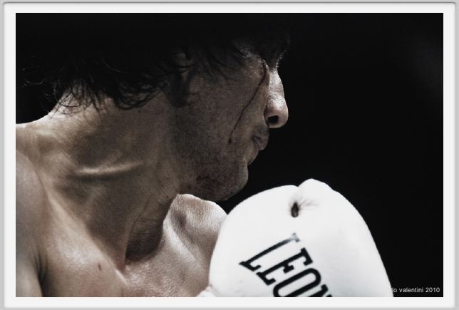 boxe1003
