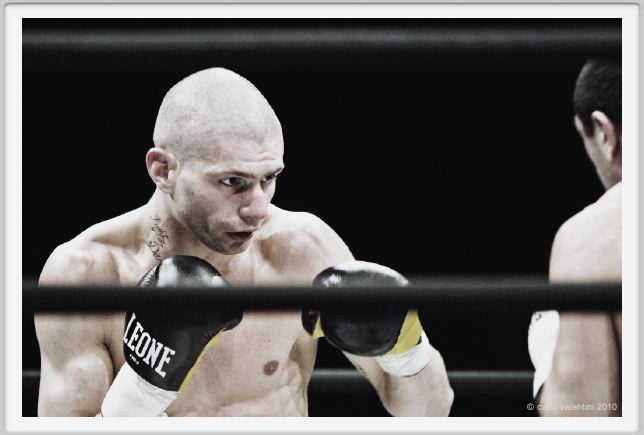 boxe831