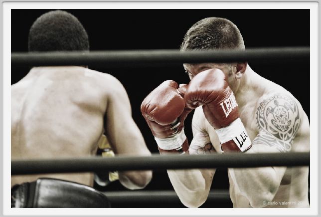 boxe855