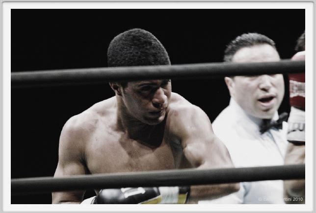 boxe856