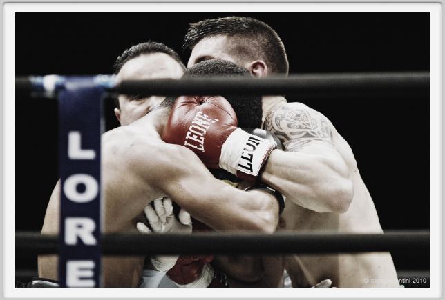boxe859