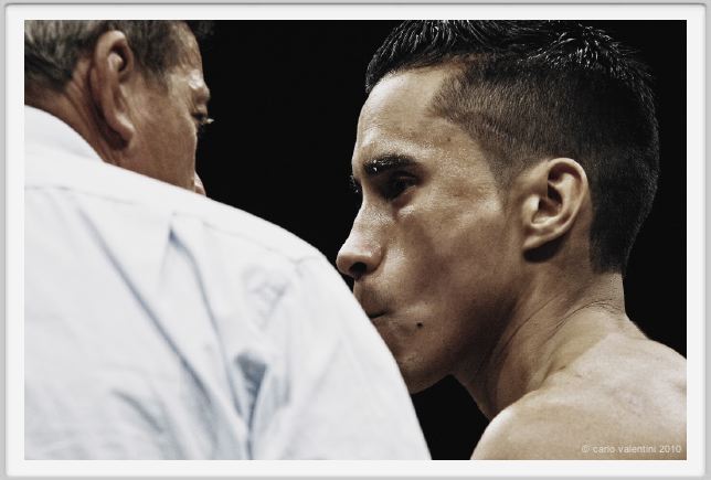 boxe881