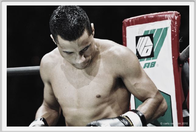 boxe882