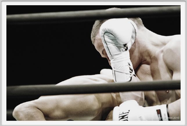 boxe884