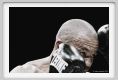 boxe997