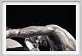 boxe1137