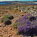 comino_laguna_blu003