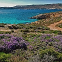 comino_laguna_blu005