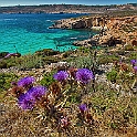 comino_laguna_blu006