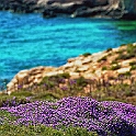 comino_laguna_blu041