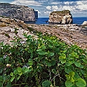 gozo_dwejra_bay128