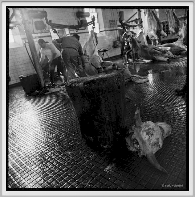 mattatoio10_309