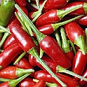 peperoncino021