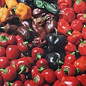 peperoncino08