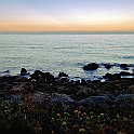 bosa003