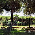 is_arenas003